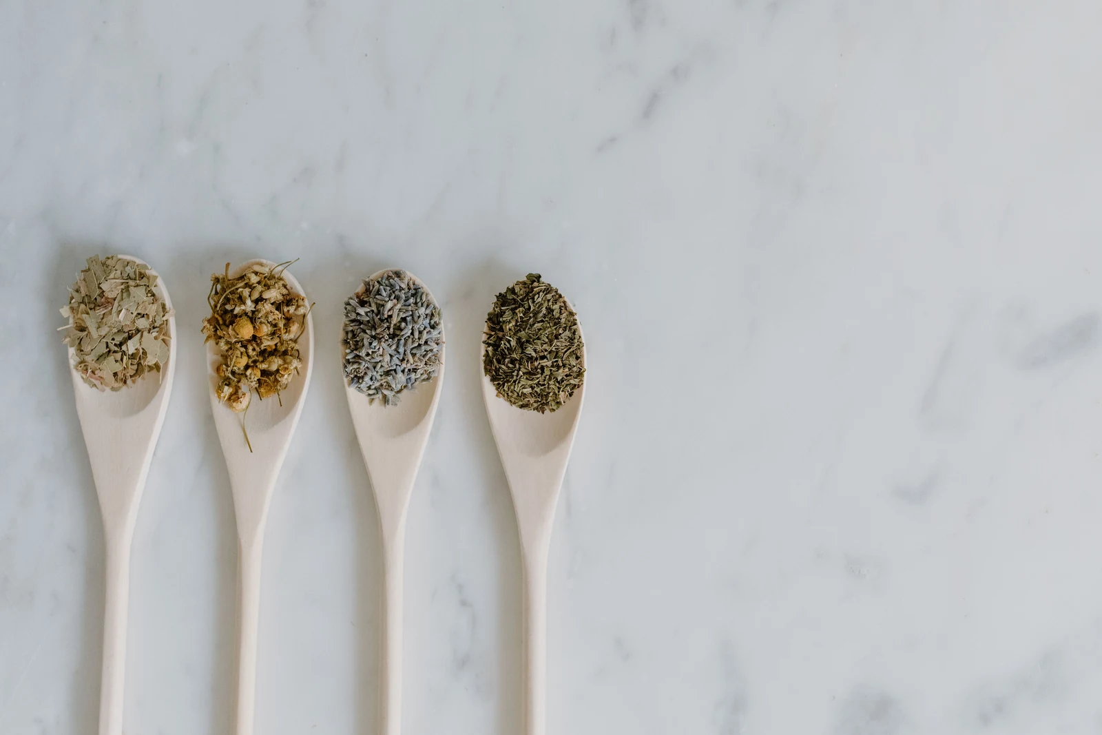 Natural dried herbs and botanical food ingredients representing Apex Biotech clean-label preservation systems