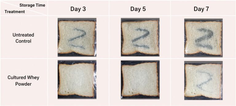 Bread mold challenge comparison for whey fermentate powder at Days 3, 5, and 7