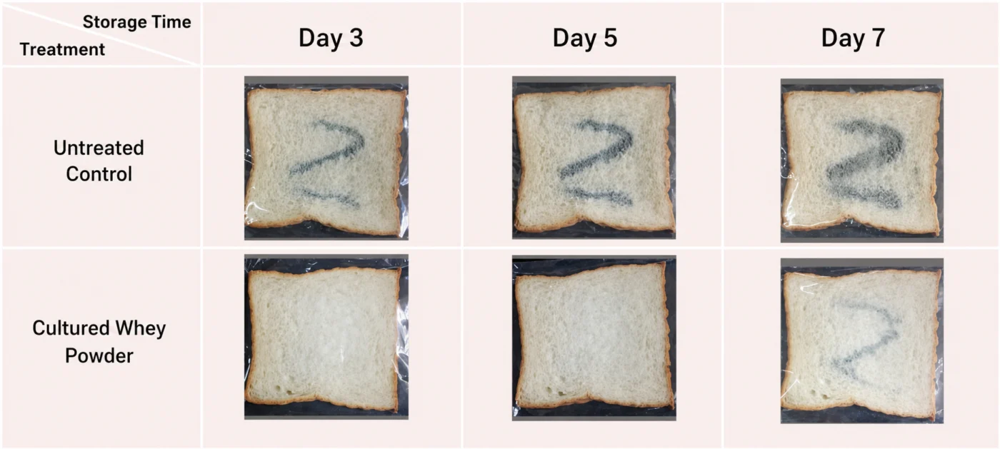 FoodApex bread mold challenge comparison at Day 3, Day 5, and Day 7